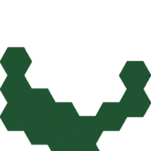 assets_item_title_Map_square