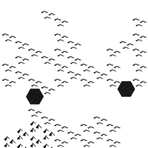 assets_item_title_Map_square