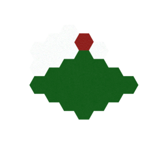 assets_item_title_Map_square