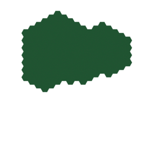 assets_item_title_Map_square