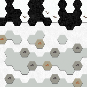 assets_item_title_Map_square