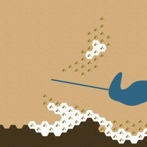 assets_item_title_Map_square