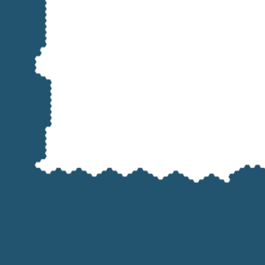 assets_item_title_Map_square