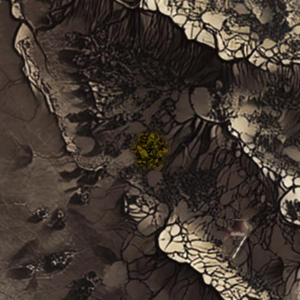 assets_item_title_Map_square