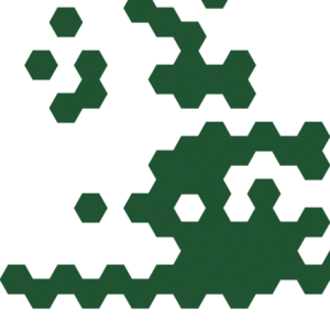 assets_item_title_Map_square