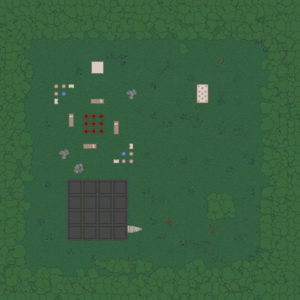 assets_item_title_Map_square