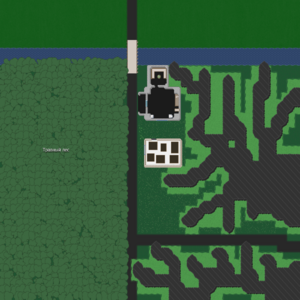 assets_item_title_Map_square