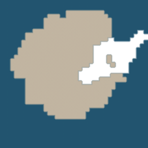 assets_item_title_Map_square