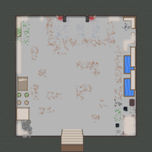 assets_item_title_Map_square