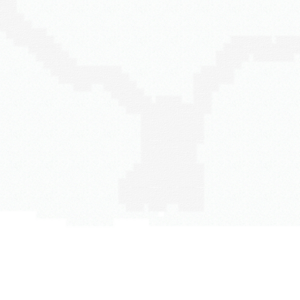 assets_item_title_Map_square