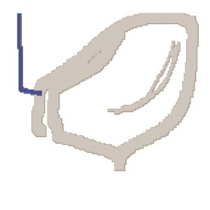 assets_item_title_Map_square