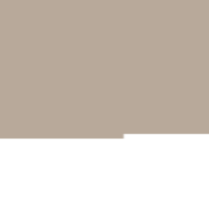 assets_item_title_Map_square