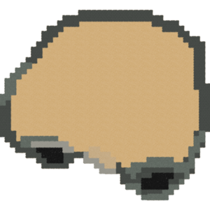 assets_item_title_Map_square