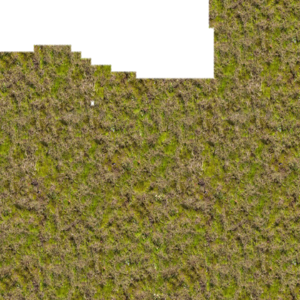 assets_item_title_Map_square