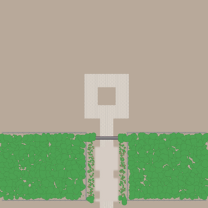 assets_item_title_Map_square