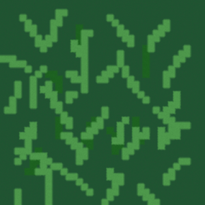 assets_item_title_Map_square