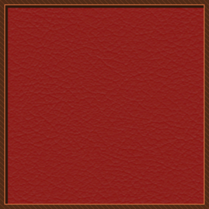 assets_item_title_Map_square