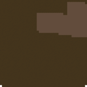 assets_item_title_Map_square