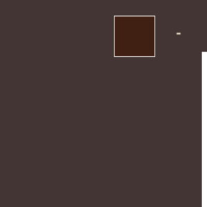 assets_item_title_Map_square