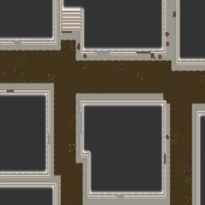 assets_item_title_Map_square