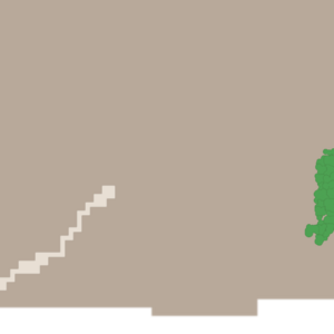 assets_item_title_Map_square