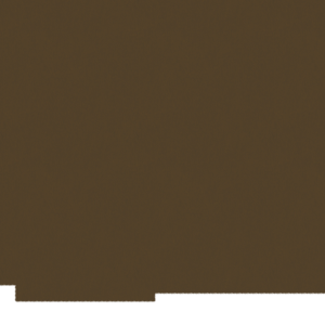 assets_item_title_Map_square