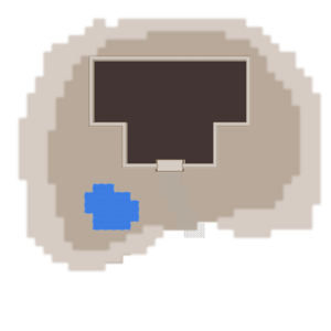 assets_item_title_Map_square