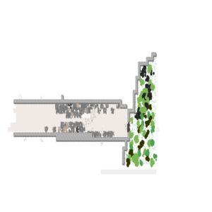 assets_item_title_Map_square