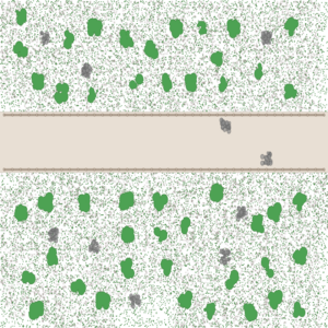 assets_item_title_Map_square