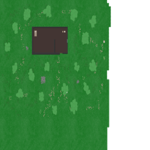 assets_item_title_Map_square