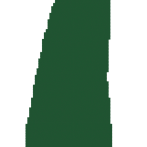 assets_item_title_Map_square