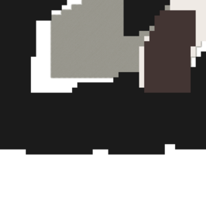 assets_item_title_Map_square