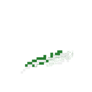 assets_item_title_Map_square