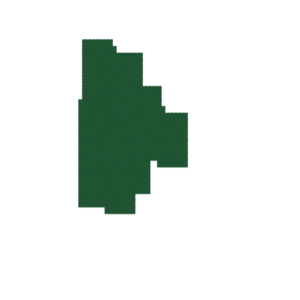 assets_item_title_Map_square