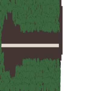 assets_item_title_Map_square