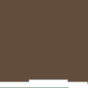 assets_item_title_Map_square