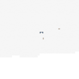 assets_item_title_Map_square