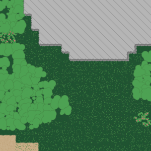 assets_item_title_Map_square