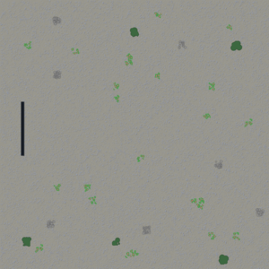 assets_item_title_Map_square