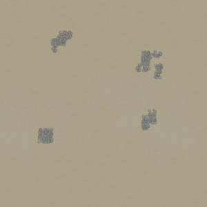 assets_item_title_Map_square