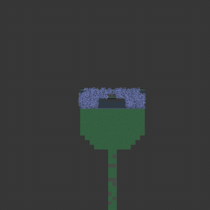 assets_item_title_Map_square