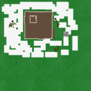 assets_item_title_Map_square